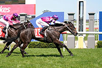 THE FLOWERS BLOOM IN SPRING..